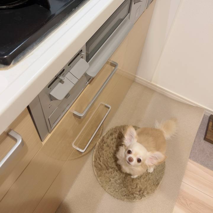 6adb204e 92cc 41f2 8e55 380b193549bf 1729080791659