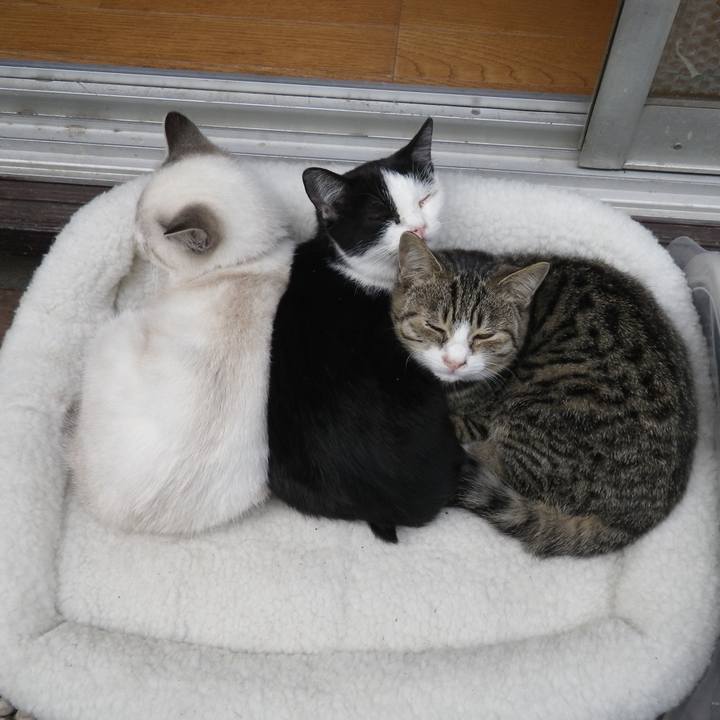 6adb4cd8 03ab 49cb ad87 3a7693979253 1584670607737