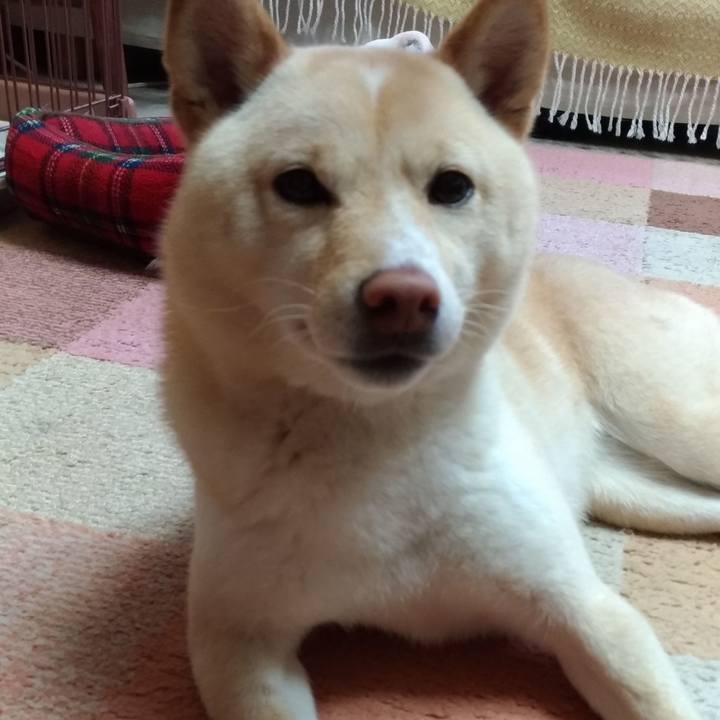 6adbb2fb 00d6 4875 9326 89f806b93028 1554795389585