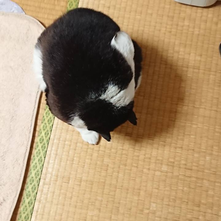 6adbbf45 c62c 4896 a7dc 2f900cdf0410 1611547023544