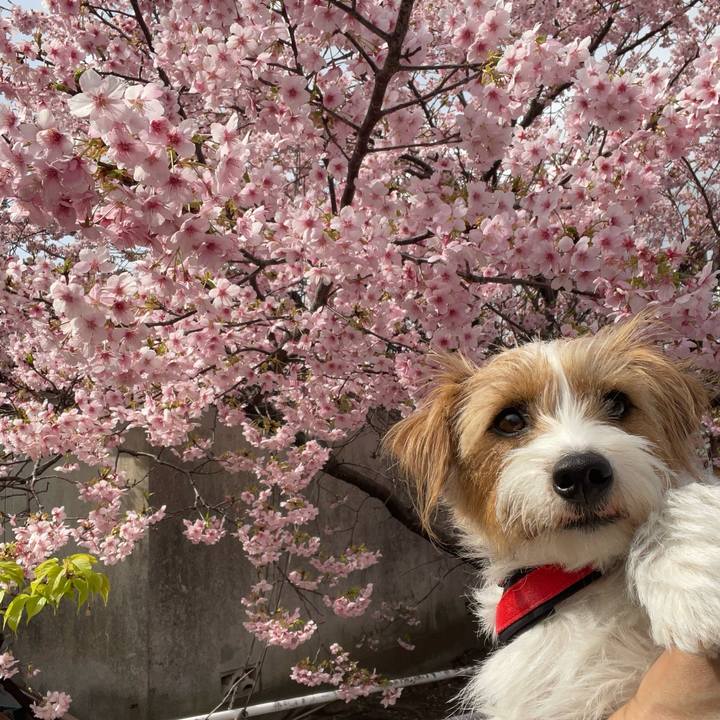 6adc386c 686c 48a0 911d 6616a098146d 1771919643930