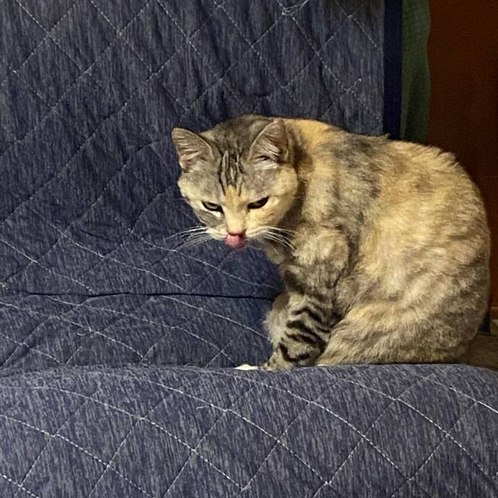 6adc3978 1173 4c3a a874 febc4ad120a4 1638909037370