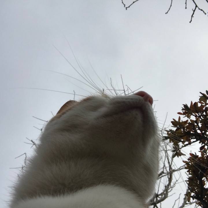 6adc455b 28e7 43a6 bcf5 81c2434f9628 1513652221083