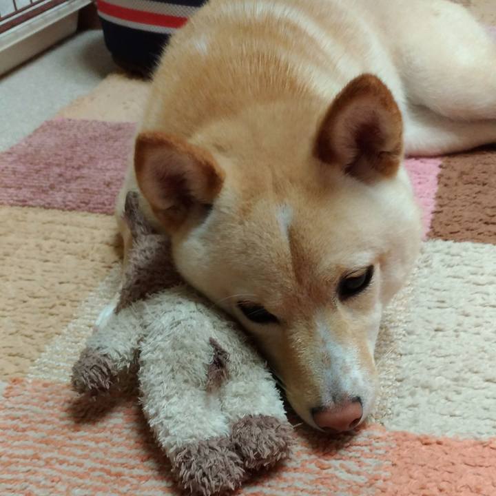 6adc5f22 96ef 4de9 a61f e119d78a05a2 1524558401255