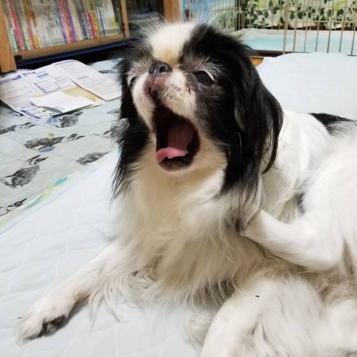 6adc7ee8 a86d 430c bf25 58451cfbc203 1536411247424