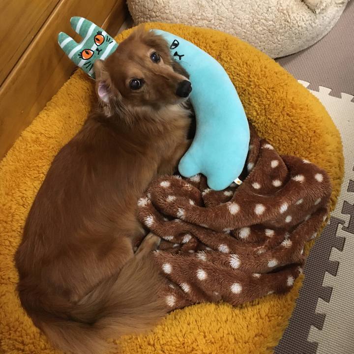 6adcacd2 339d 4310 ba93 e5c1b72efece 1610457120987