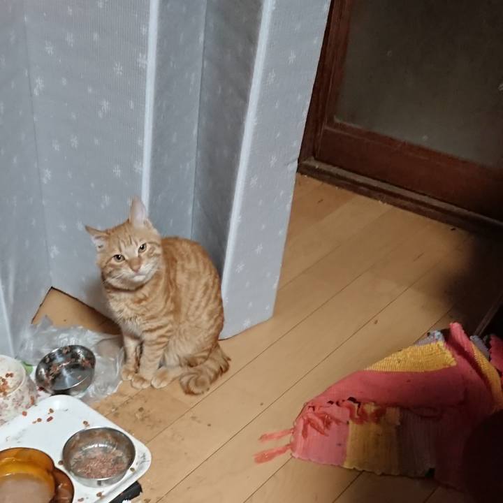 6adcc038 65f0 4d86 9e4a 4b274ee37b02 1639171088809