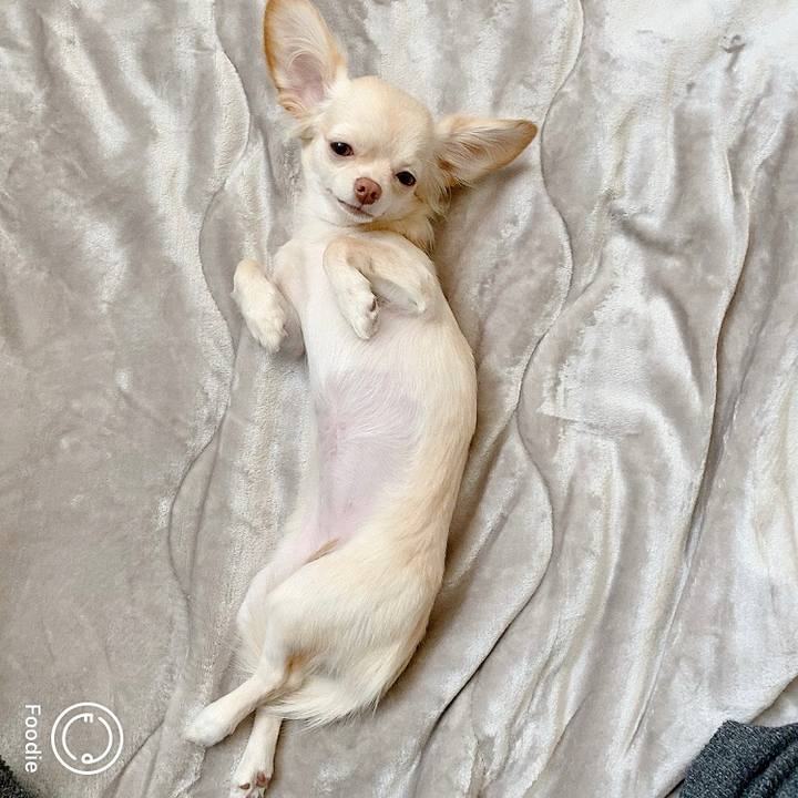 6adcc407 0fac 4ce6 8729 add9074c8b22 1603509814689