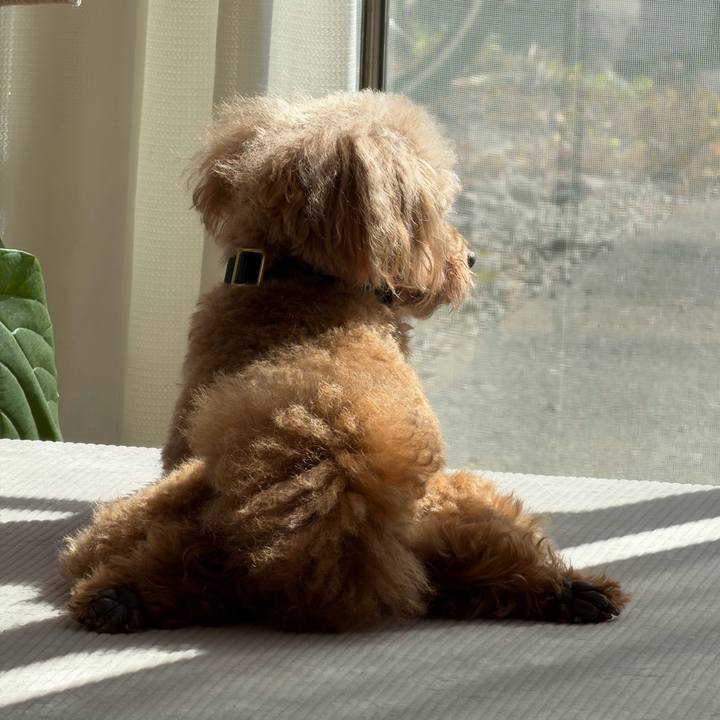 6adcdaa4 3e92 4648 8438 a383e04714af 1769823945583