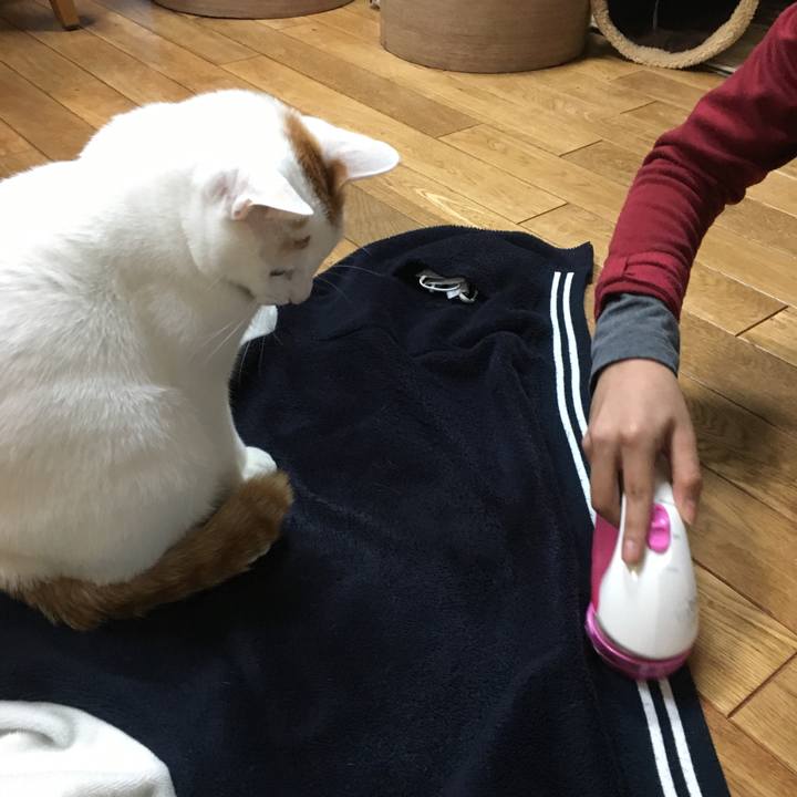 6adce652 f0db 44d0 88b8 a9e9c886a739 1516974983673