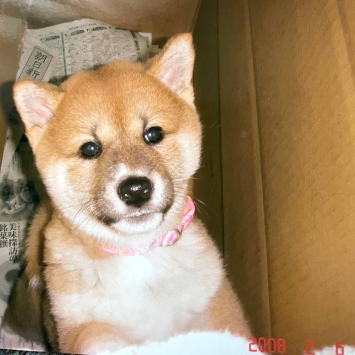 6adcfe37 b2e3 4853 927d 958c8c6235da 1635233143534