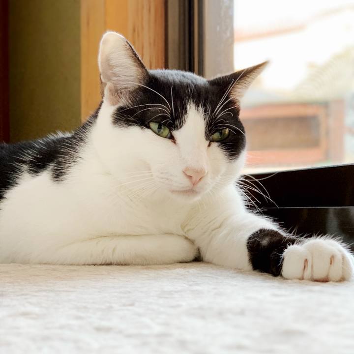 6add2e06 6a25 457c 81c9 55a97501cc41 1541381765352