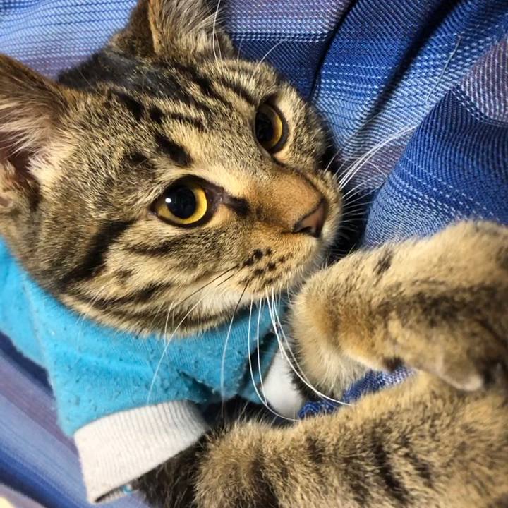 6addae17 6fa5 4756 9294 2bf31667f4e5 1736671606072