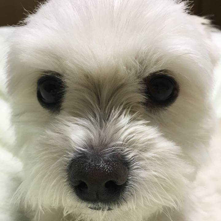 6addb1c9 af0d 4f41 856b 677afa2d5e7d 1554553876509