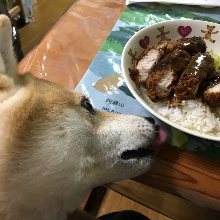 6addb54a a986 4664 8fbe 242af9527dd6 1516056009637