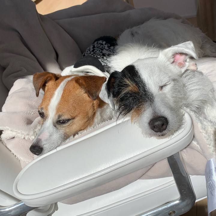 6addb6db 8b78 4ad9 852d 6d23892b0beb 1582861073809