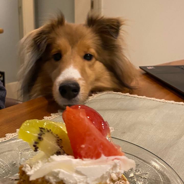 6addfb48 3017 4aa6 9acd 4d41c24e25ab 1609419553444