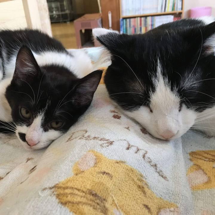 6ade80bc ff46 443f 9d8b 7250ccb72987 1514293569334