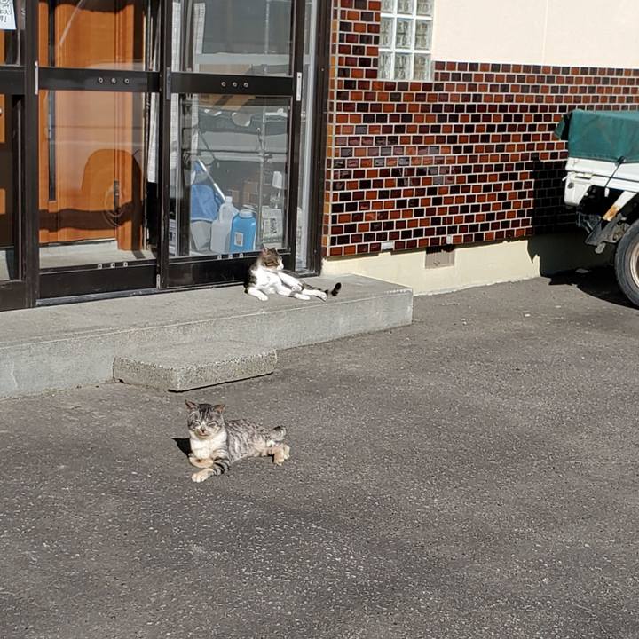 6ade8c53 a52c 471c b404 6fc8a96fdff5 1694262498735