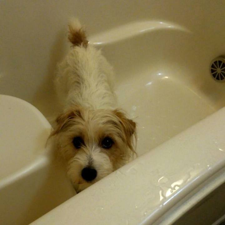 6ade93e4 a2e1 4238 a7ea 869b3e1739ce 1752531642871