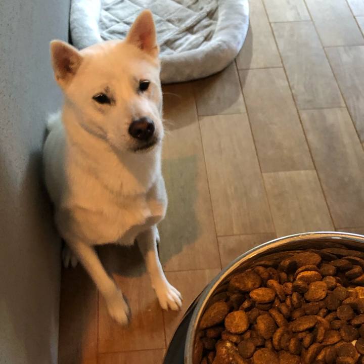 6adecf7b 1ad4 425d 8ed8 d70a5eaa67a4 1552434629059