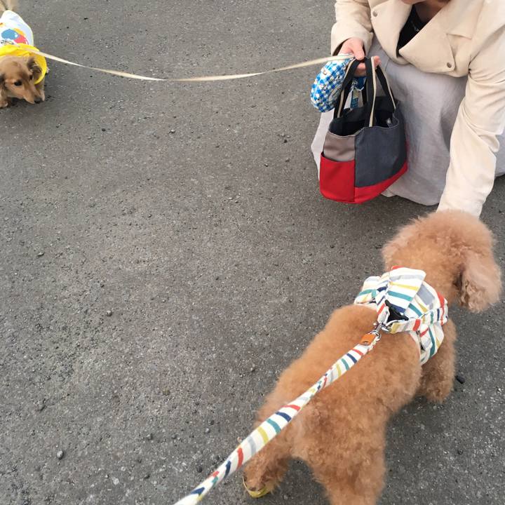 6aded537 3394 4cc2 be8b bd2ba713bc11 1525095742198