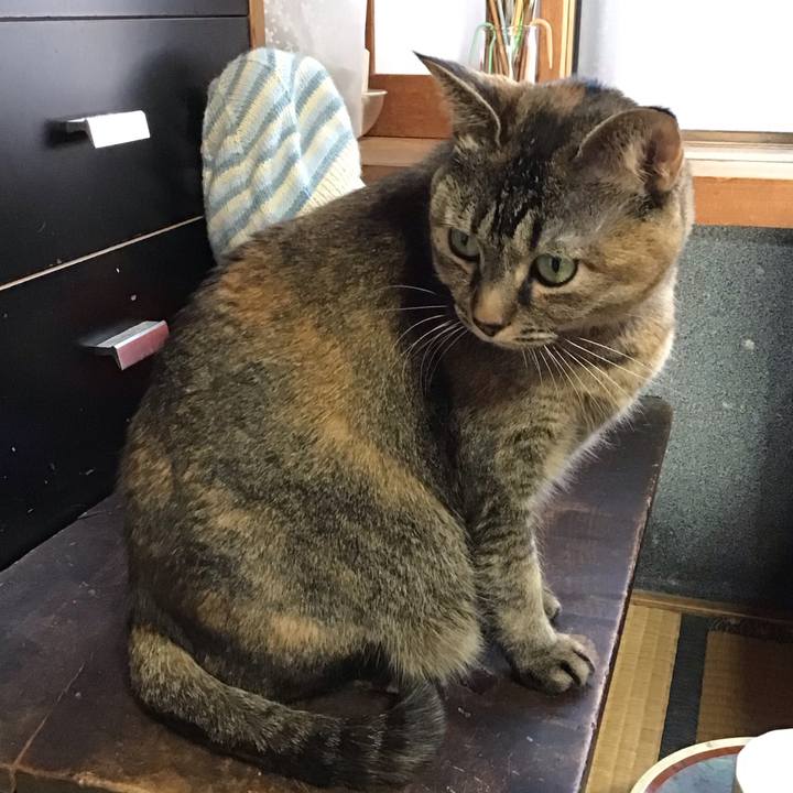 6adf085d 739f 4e30 ad7a 447a88d2ed9a 1709292774338