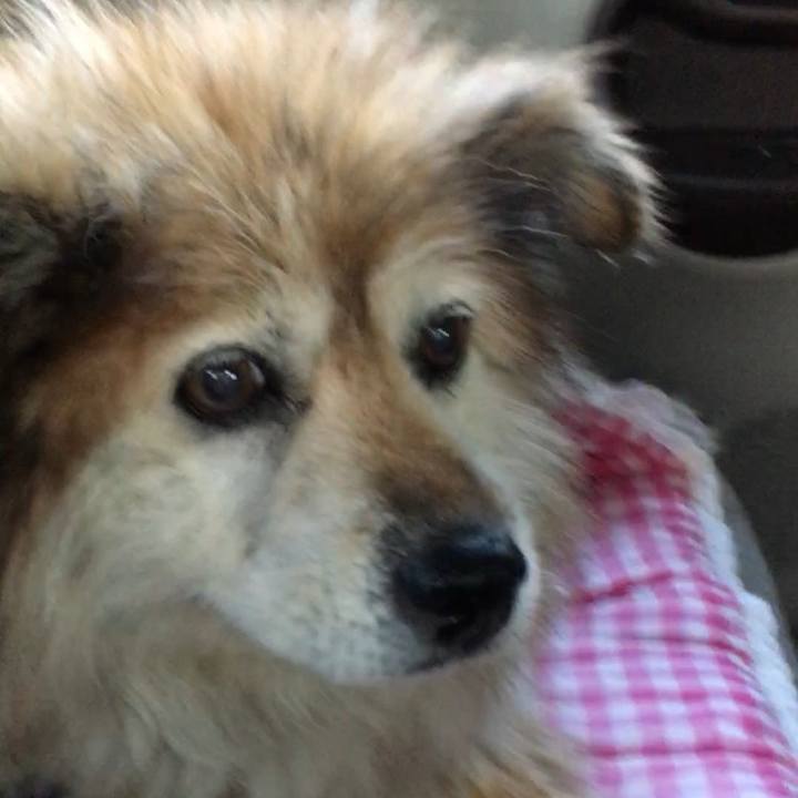 6adf1bbc 4719 445b 9f6a 5b842203ab79 1585739033005