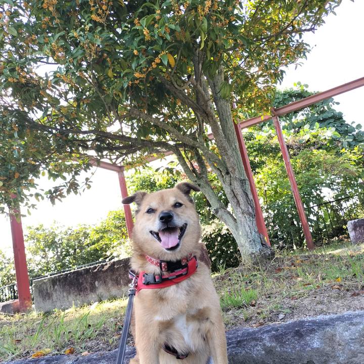 6adf2f6f 7225 4a81 b427 0a1fdfabaa17 1728216041407