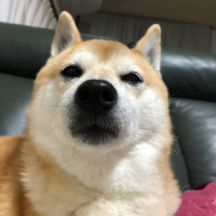 6adf3d15 f656 4973 bc74 89f4bd6348bd 1605999667035