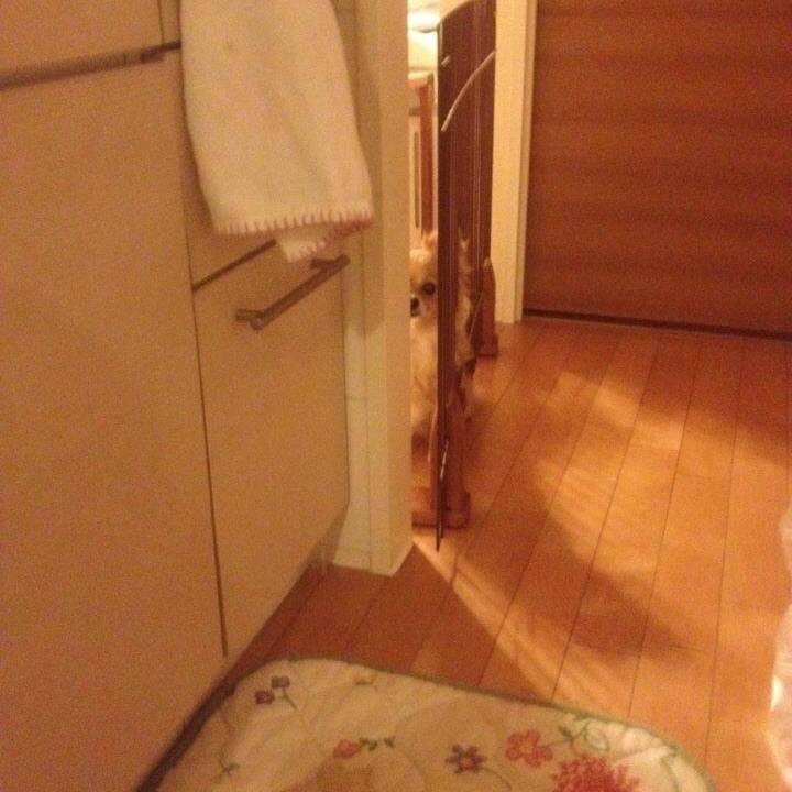 6adf46eb 18fe 4085 b0c5 17f5e3a3c025 1520556541607