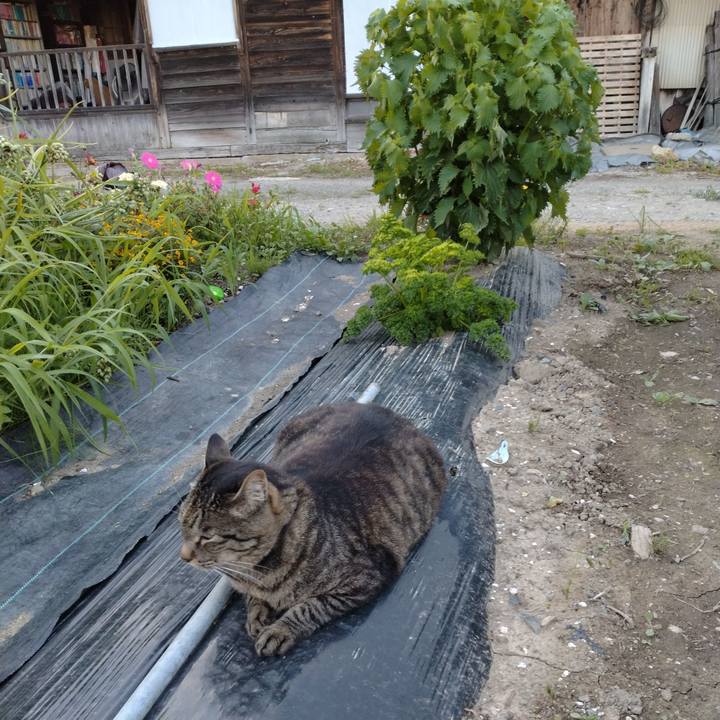 6adf6845 a872 448c 9628 e83b3c5be31c 1689588987957