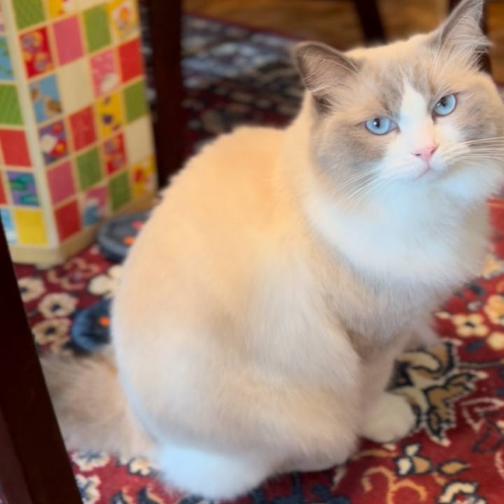 6adf788c 244a 41d6 9259 612593a5fab4 1661486279578