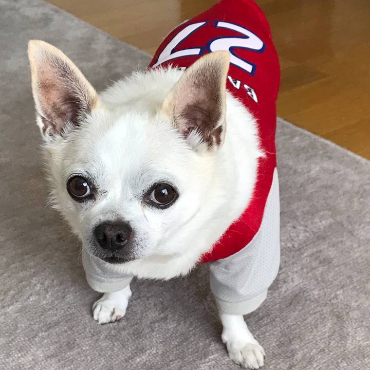 6adf87e3 9020 46b4 9eab e4de137901f0 1593264736892