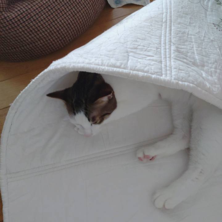 6adfb422 7eab 4f47 a30b ca405ea1b351 1672618930241