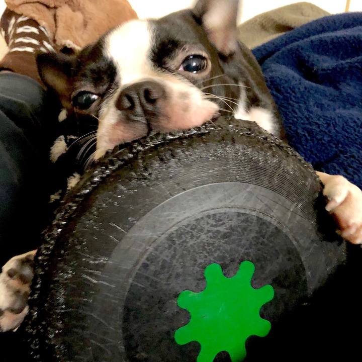 6adfd06d da88 46ad 93be d62679873a1d 1515486442369