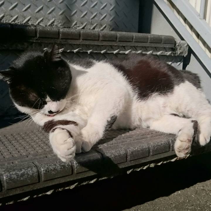 6ae022ff 2e5b 4297 ae46 6962ba5b3d79 1513995500248