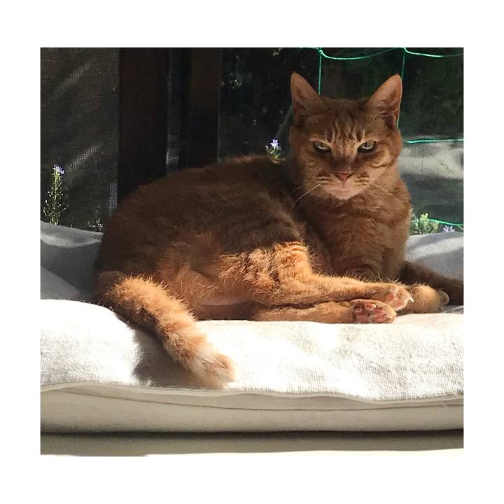 6ae033f6 65f5 4c97 9412 d063245dd886 1662789151644