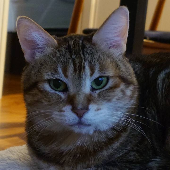 6ae08a8b df7d 4044 9acb a21b4b4c046c 1772006723801