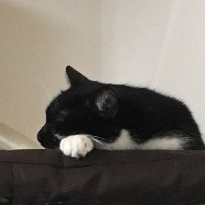 6ae0bf04 28db 4fc2 806e 3dd1e42d4d87 1526957380515