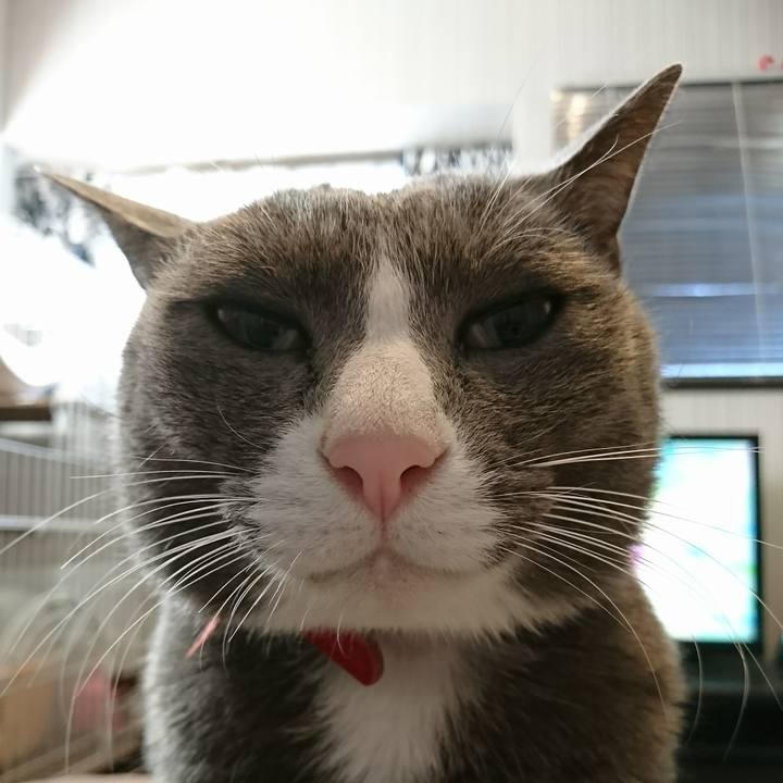 6ae0fb2f f4a0 4c40 87d2 3c5ba366c062 1513135925180