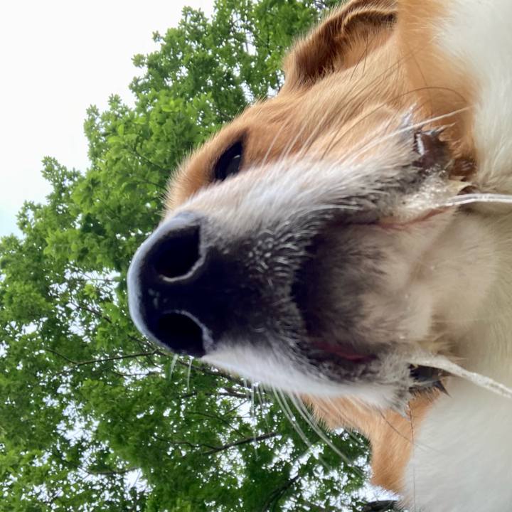 6ae108e5 ee8c 433e 9b4b 6a3a10793b3d 1716593807983