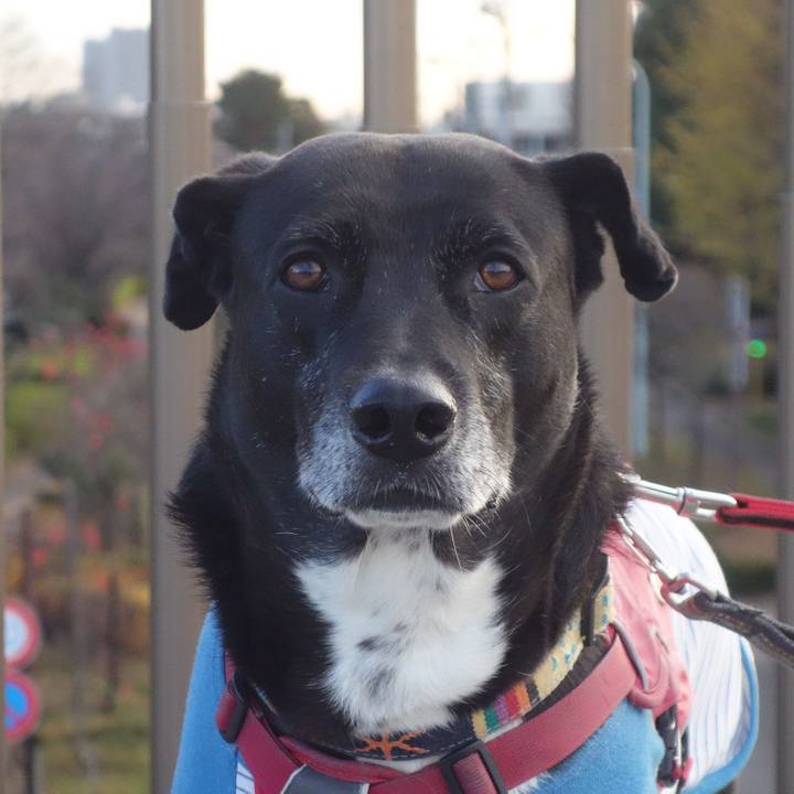 6ae10b25 04bb 4c37 b059 c42cc0f10637 1702866201363