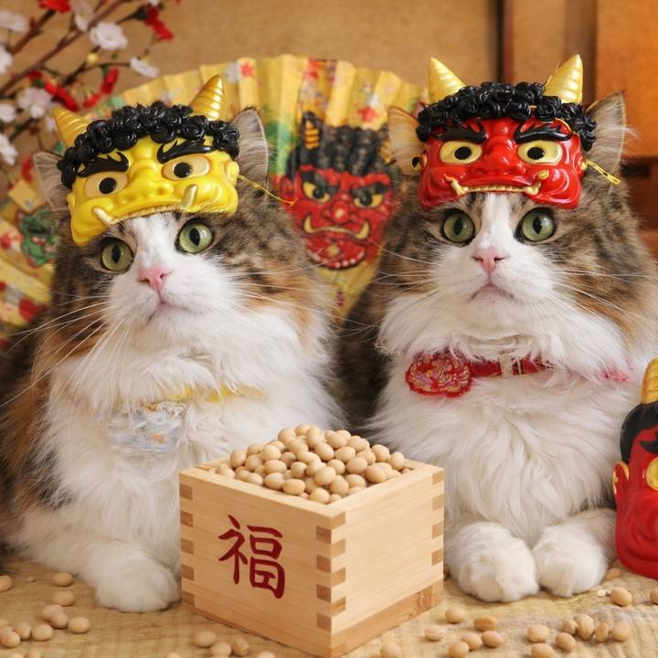 6ae12d34 5898 49a5 bb14 b1001da16908 1770091138015