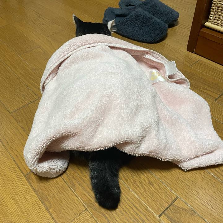 6ae170e1 c7c3 4d71 8a3d 9645f6b81099 1665223969872