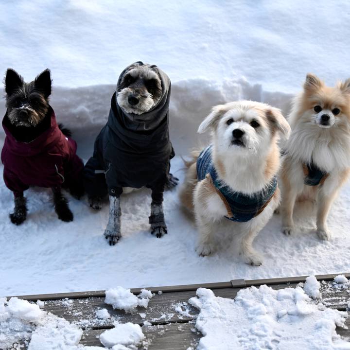 6ae1d2ff 515f 490e 940c 8ecae0ecda6a 1769248756060