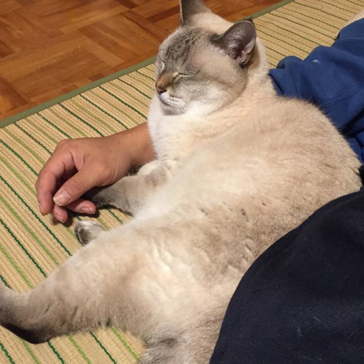 6ae28388 b4f0 4053 91a6 818ab25db066 1571746656836