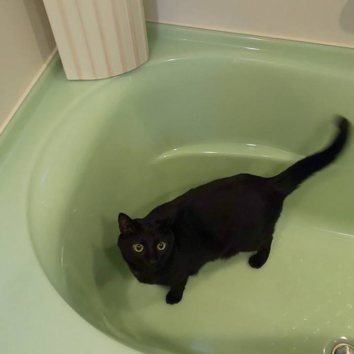 6ae2bed4 e172 40dd b226 4814ad1ab13d 1587777673234