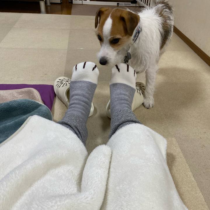 6ae2cda2 7cc3 40fc bde6 ba90bad8d8f3 1703506886493