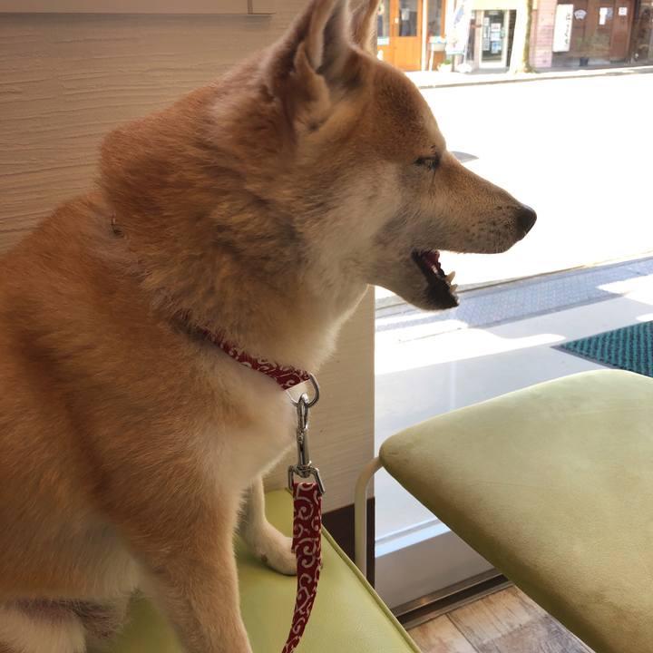 6ae2fc91 90d1 41b0 852b 708de4533b5c 1600864253123